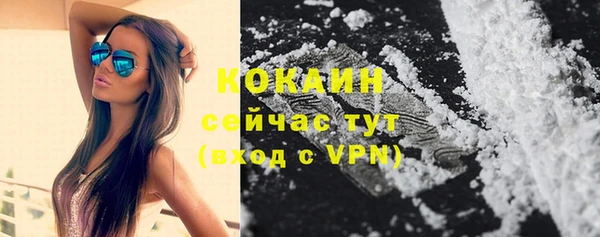 прущие грибы Баксан