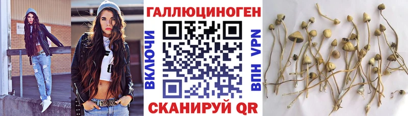 Псилоцибиновые грибы Magic Shrooms  Новодвинск 